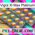 Vigra Xl Max Platinum cialis2